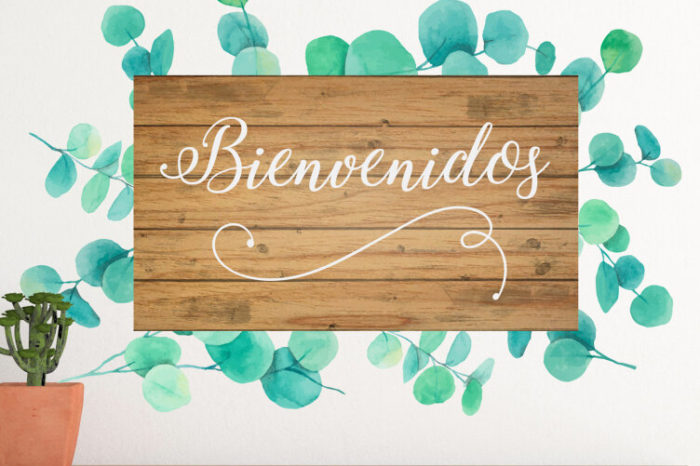 Los Vinilos de Flores más top para decoración esta Primavera-Verano