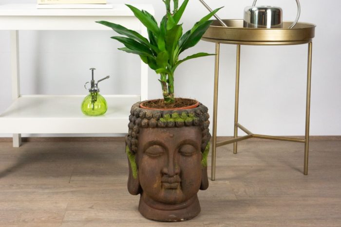 Decoración: Piensa en verde